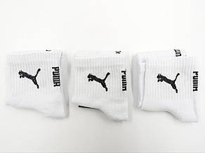 Чоловічі середні шкарпетки бавовна  емблема "Р" ,  41-45, 12 пар/уп. білі