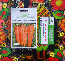 Насіння моркви Курода Шантане (United Genetics), 1 г — рання (85-90 днів), конічна, невибаглива