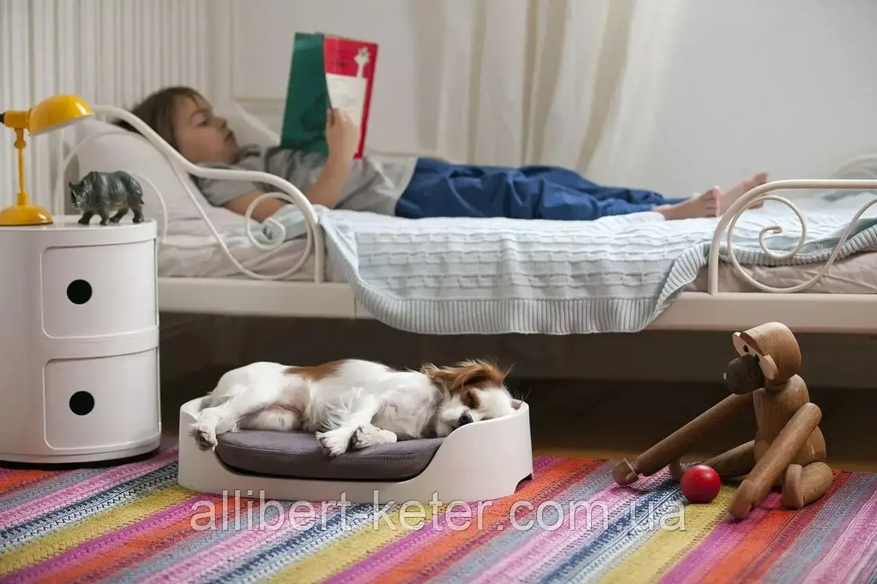 Домик - переноска, лежак трансформер для котов и собак Keter Bunk Bed 3 in 1 ( Keter Pet, Curver Pet ) - фото 7 - id-p2111211179