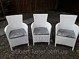 Набір садових меблів Montana Iowa Melody Quartet Garden Set White ( білий ) з штучного ротанга, фото 3