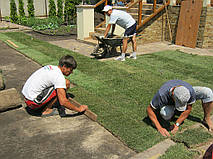 Укладка газона.