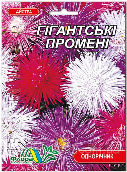 Насіння айстра Гіганські промені 0,3г. Флора маркет