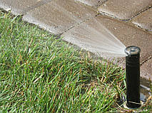 Автополив+газон с.Петропавловская Борщаговка 6