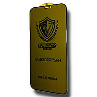 Защитное стекло DK V Full Glue OG ESD Anti-Static Privacy для Apple iPhone 12 Pro Max (black)