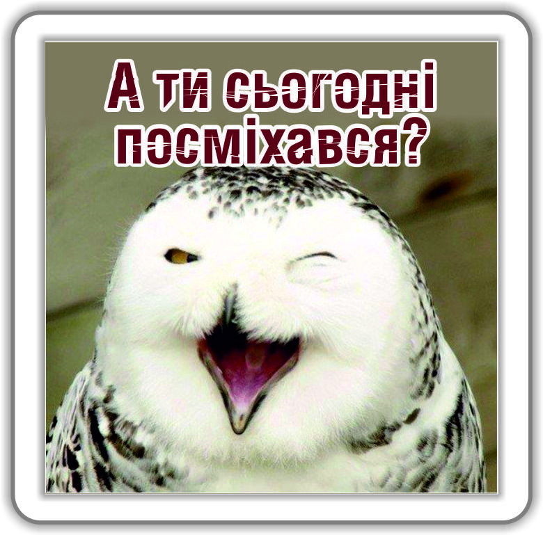 Магніт: А ти сьогодні посміхався?, фото 1