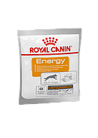 Лакомства Royal Canin Energy 50 гр