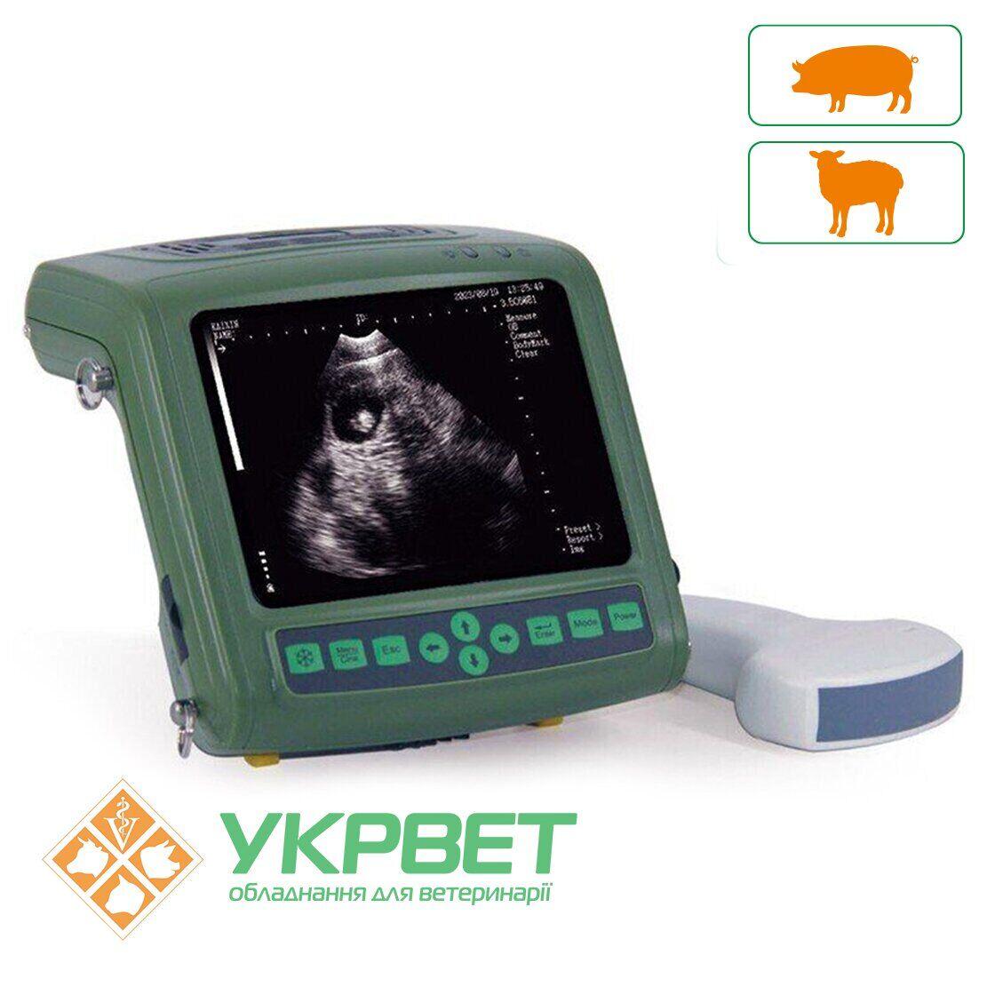 УЗД сканер ES8 Vet Kaixin для свиней та овець