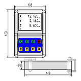 D50-2V Пристрій цифрової індикаці Ditron, фото 4