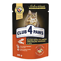 Консервированный корм Club 4 Paws SELECTION влажный корм для взрослых кошек - кусочки с селедкой и салакой в