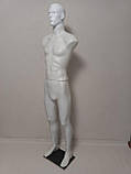 Манекен чоловічий збірний "Стас" з головою білий на деревоплиті, фото 4
