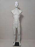 Манекен чоловічий збірний "Стас" з головою білий на деревоплиті, фото 5