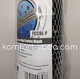 Картридж вугільний Aquafilter FCCBL-P, фото 2