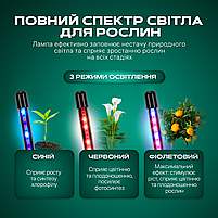 Фітолампа світлодіодна (LED) для рослин, регулювання яскравості та кольору, пульт, таймер, гнучка, IP54 (FL-01), фото 3