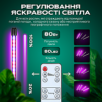 Фітолампа світлодіодна (LED) для рослин, регулювання яскравості та кольору, пульт, таймер, гнучка, IP54 (FL-01), фото 4