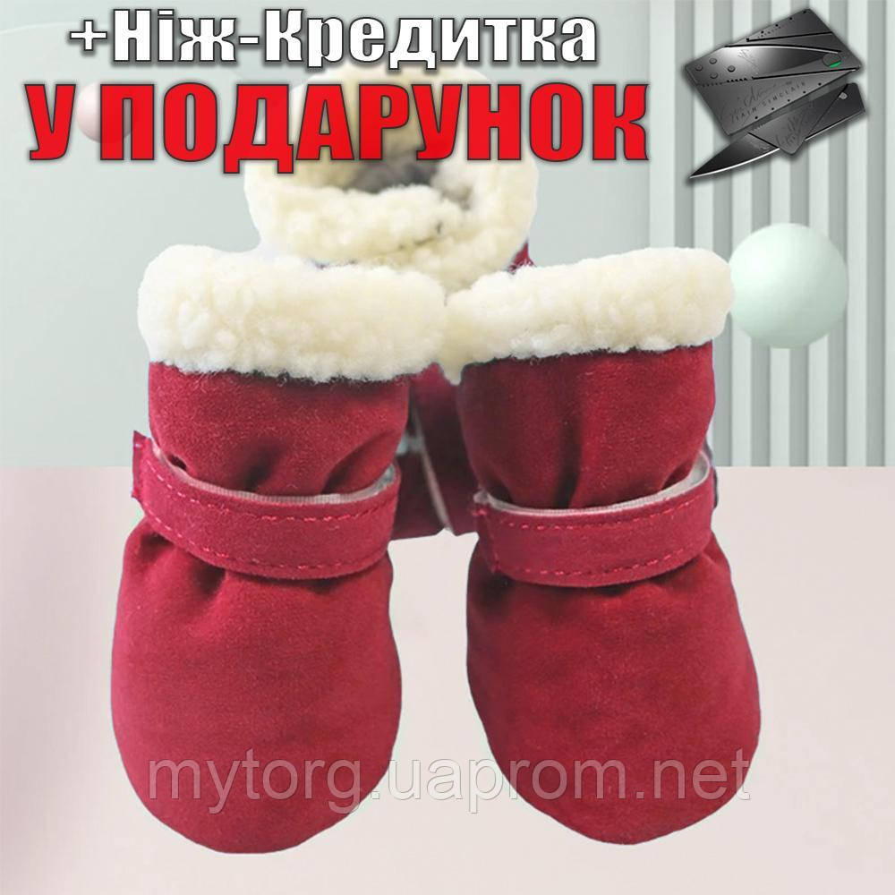 Ботиночки для собак на меху L Бордовый (ID#2105654219), цена: 376.80 ...