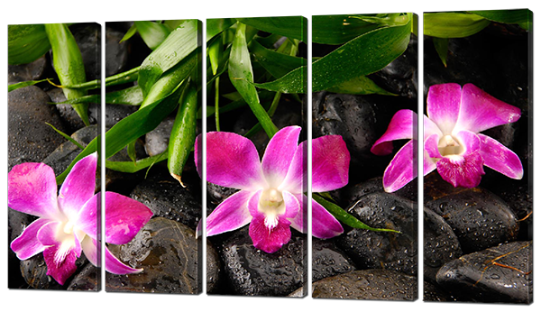 Модульна картина Рожеві орхідеї і камені (картина з 5 частин)