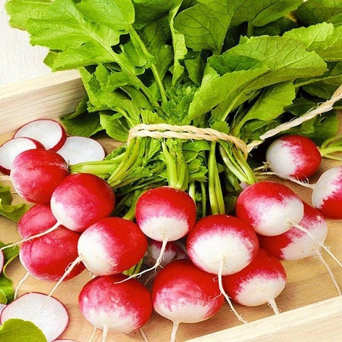 Насіння Редісу КБК (3г), фото 1