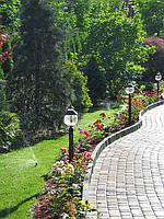 Автополив + Газон. (Киевская обл.) 2