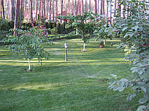 Автополив + Газон. (Киевская обл.) 3