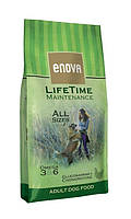 Enova LifeTime Maintenance - сухой корм для взрослых собак всех пород 12 кг