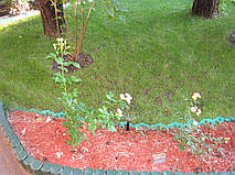 Автополив + Газон. (Киевская обл.) 7