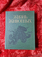 Життя тварин 2 том 1988 рік Просвітлення молюски,иглокіті членистоногі