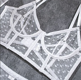 Жіночий комплект спідньої білизни в білу прозору сітку в горошок бюст-корсет, сексуальний комплект, фото 4