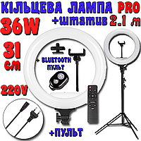 Кольцевая лампа PRO RL 31см 36W со штативом 2м, Профессиональная Led лампа Cелфи кольцо про с пультом ДУ