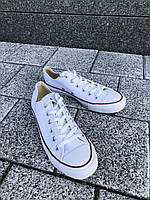 Кеды Converse Low White