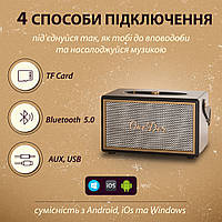 Портативная колонка OneDer D6 BT/TF/USB/AUX 40 Вт, коричневая/черная