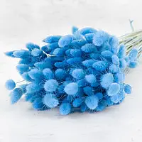 Лагурус світло синій 1шт.