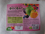 Монофосфат калію - для гарного врожаю 300 г, фото 2
