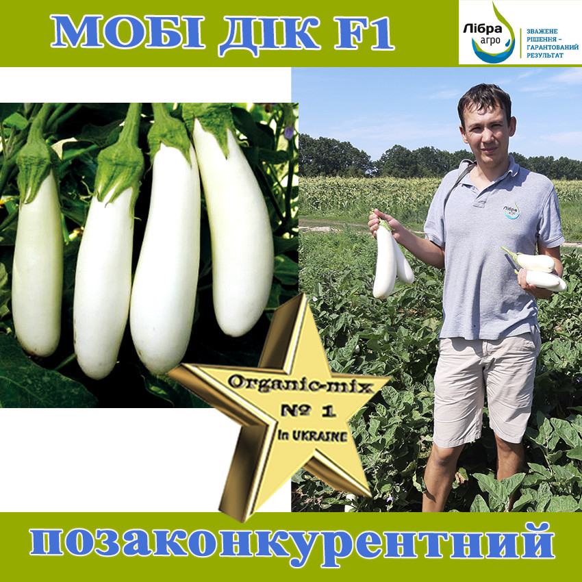 Білий баклажан Мобі Дік F1 / Moby Dik, 1000 насінин, ТМ Libra Seeds