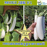 Білий баклажан Мобі Дік F1 / Moby Dik, 1000 насінин, ТМ Libra Seeds, фото 2