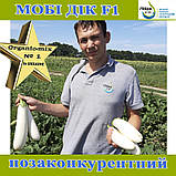 Білий баклажан Мобі Дік F1 / Moby Dik, 1000 насінин, ТМ Libra Seeds, фото 3