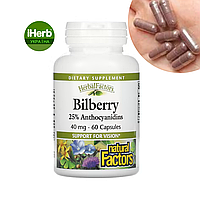 Natural Factors, Bilberry, чорниця, 40 мг, 60 капсул