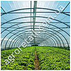 Плівка поліетиленова одношарова прозора 100 мкм ширина 3 м на метраж Планета Пластик, фото 6