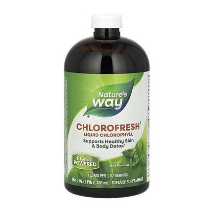 Хлорофіл Nature's Way Chlorofresh Liquid Chlorophyll 473 ml mint, фото 3