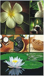 Електричний настінний обігрівач-картина "Лотос" (N847009)