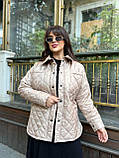 Жіноча демісезонна куртка великого розміру осінні жіночі куртки батал весна осінь коротка, фото 3