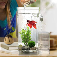 Акваріум самоочисний для рибок 2л, My Fun Fish, з підсвічуванням / Маленький акваріум з удароміцного пластику