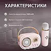 Портативна Bluetooth-колонка для караоке з мікрофоном на акумуляторі, мінікараоке, фото 2