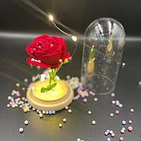 Троянда в колбі з LED підсвідкою. Довговічна троянда
