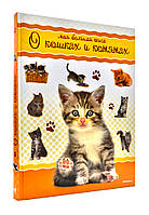 Енциклопедия Моя большая книга о кошках и котятах (9785389103146)