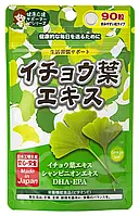 Japan Gals Гінкго білоба (90 таблеток по 250 мг) на 30 днів, DHA+ EPA і вітамін Е