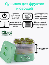 Сушарка для овочів і фруктів DSP KA9003, Дегітратор для сушіння м'яса фруктів овочів до 3 кг, фото 3
