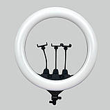 Кільцева світлодіодна лампа 55 см SLP-G63 з пультом сумкою та 3 тримачами LED лампа для фото та відеозйомки, фото 2