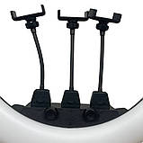 Кільцева світлодіодна лампа 55 см SLP-G63 з пультом сумкою та 3 тримачами LED лампа для фото та відеозйомки, фото 6