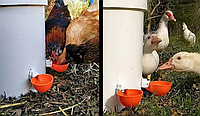 Чашечная поилка для птиц с винтом, микрочашка, чашечное поение, диаметр чаши 9,5 см