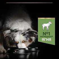 Сухий корм для собак Pro Plan Medium Adult Sensitive Digestion для середніх порід з ягням 14 кг, фото 5